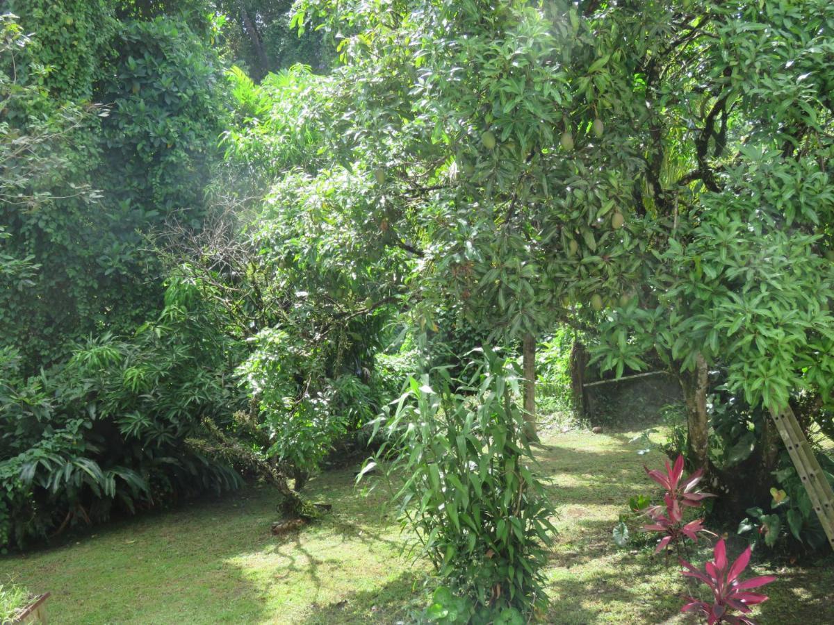 Serenity Gros-Morne Ngoại thất bức ảnh